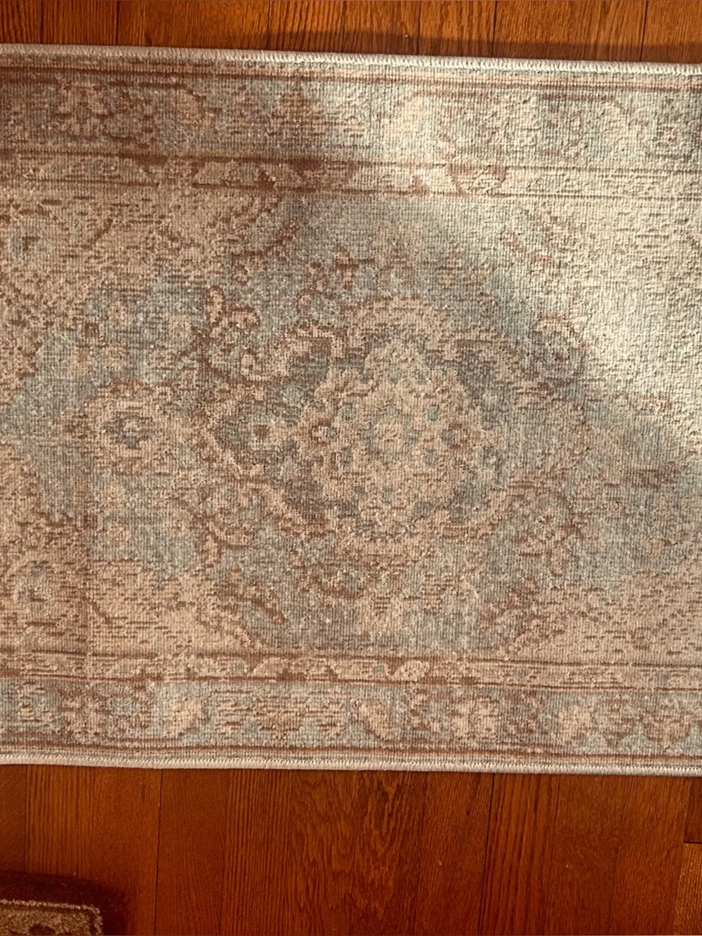 Classic Ivory and Light Blue Momeni Rug - Neutral Vintage Style 36”.x 23 1/2”